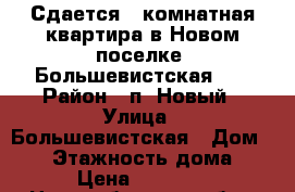 Сдается 3-комнатная квартира в Новом поселке, Большевистская 53 › Район ­ п. Новый › Улица ­ Большевистская › Дом ­ 53 › Этажность дома ­ 3 › Цена ­ 27 000 - Новосибирская обл., Бердск г. Недвижимость » Квартиры аренда   